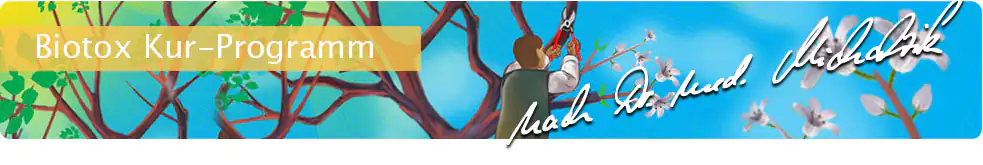 Biotox Kur-Programm