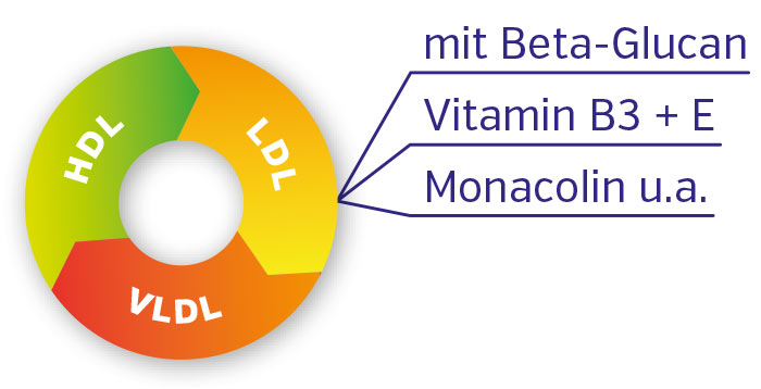 Cholesterin-Metbolismus Kapseln mit Beta-Glukan, Vitamin B3, E und Monacolin, bunte Darstellung des Cholesterinprofils