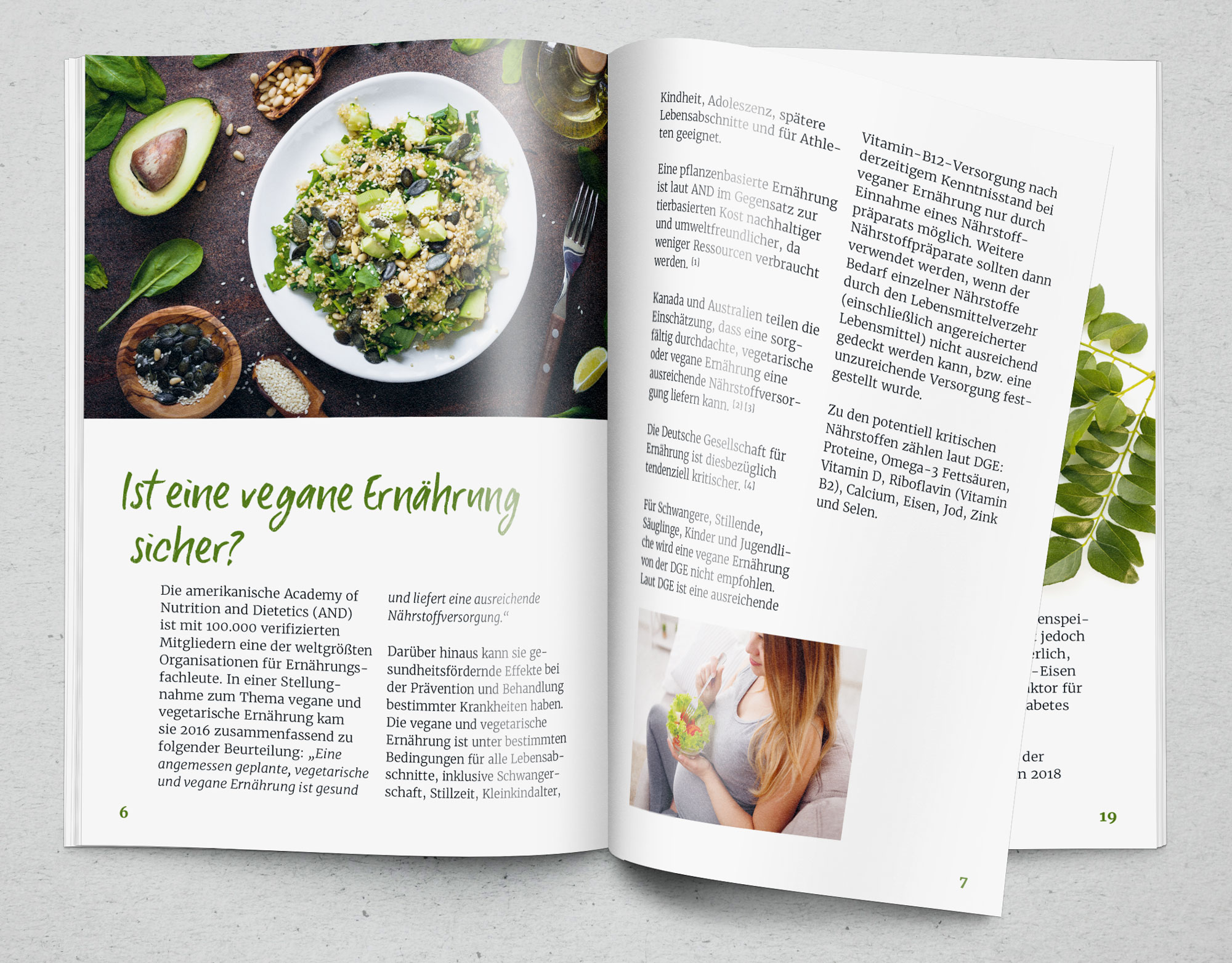 Vegane Ernährung – sicher und gesund? Magazinseite über vegane Ernährung mit einer bunten Salatschüssel und Text. Hintergrund in gedämpften Farben.