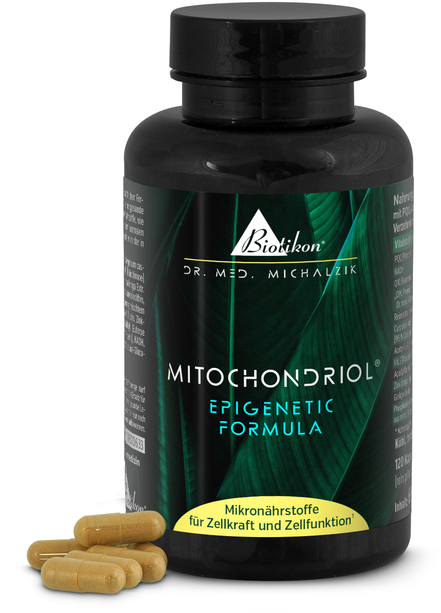 Mitochondriol 120 Kapseln – Epigenetic Formula Mitochondriol Kapseln in einer schwarzen Flasche, 120 leichte Kapseln sichtbar, grüne Blattoptik.