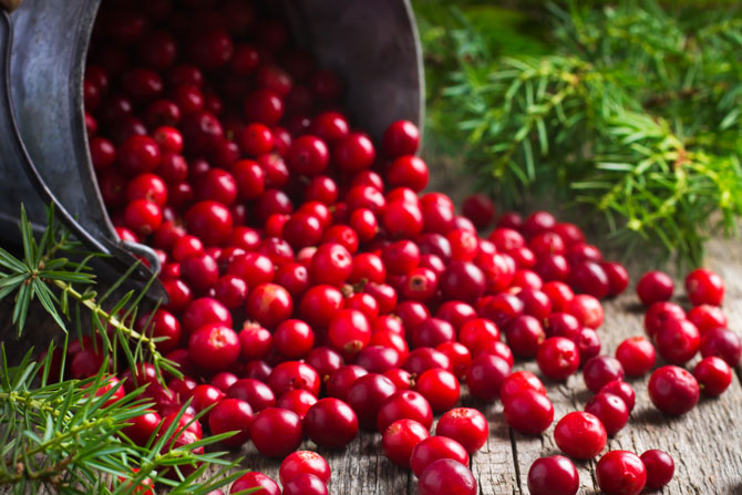 Cranberries 500 g – lose Früchte Frische Cranberries, leuchtend rot, in einer Holzumgebung ausgekippt, umgeben von grünen Zweigen.