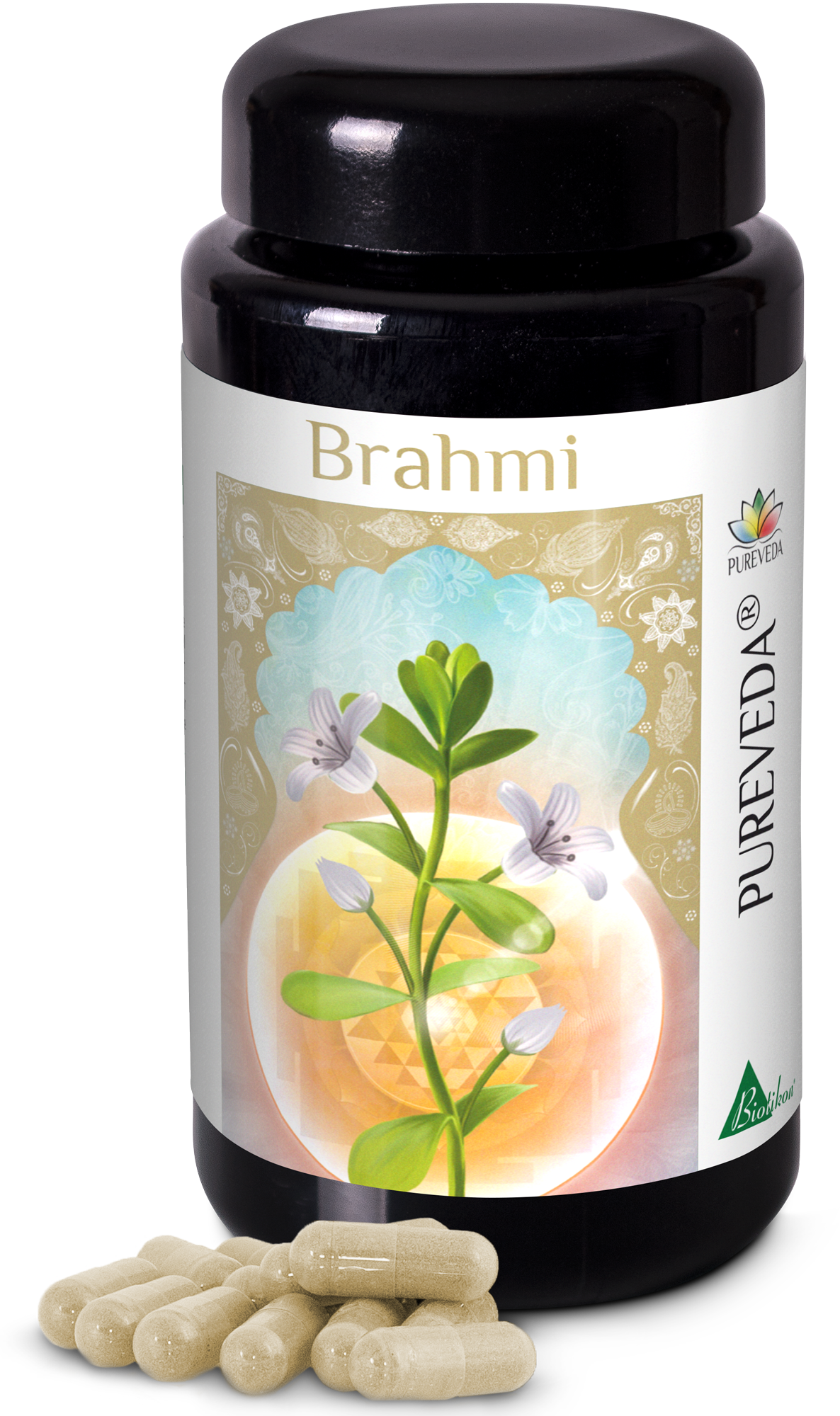Brahmi Kapseln – 60 Stück Braun-transparentes Fläschchen mit Brahmi Kapseln in natürlicher Farbe, umgeben von mehreren Kapseln.