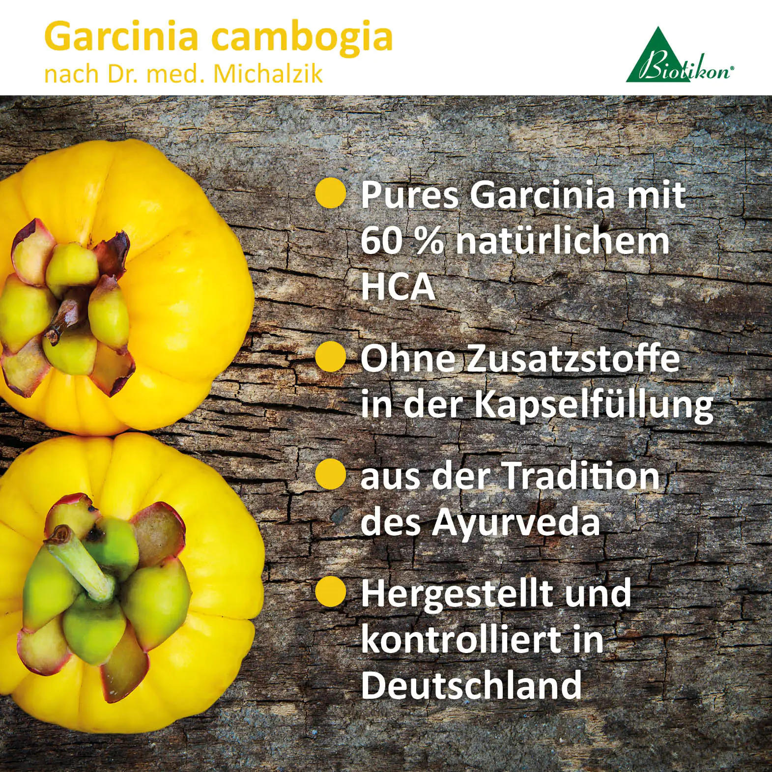Garcinia cambogia 60 % HCA – Kapseln Garcinia cambogia Früchte auf Holzuntergrund, leuchtend gelb, zur Verwendung in Kapseln.