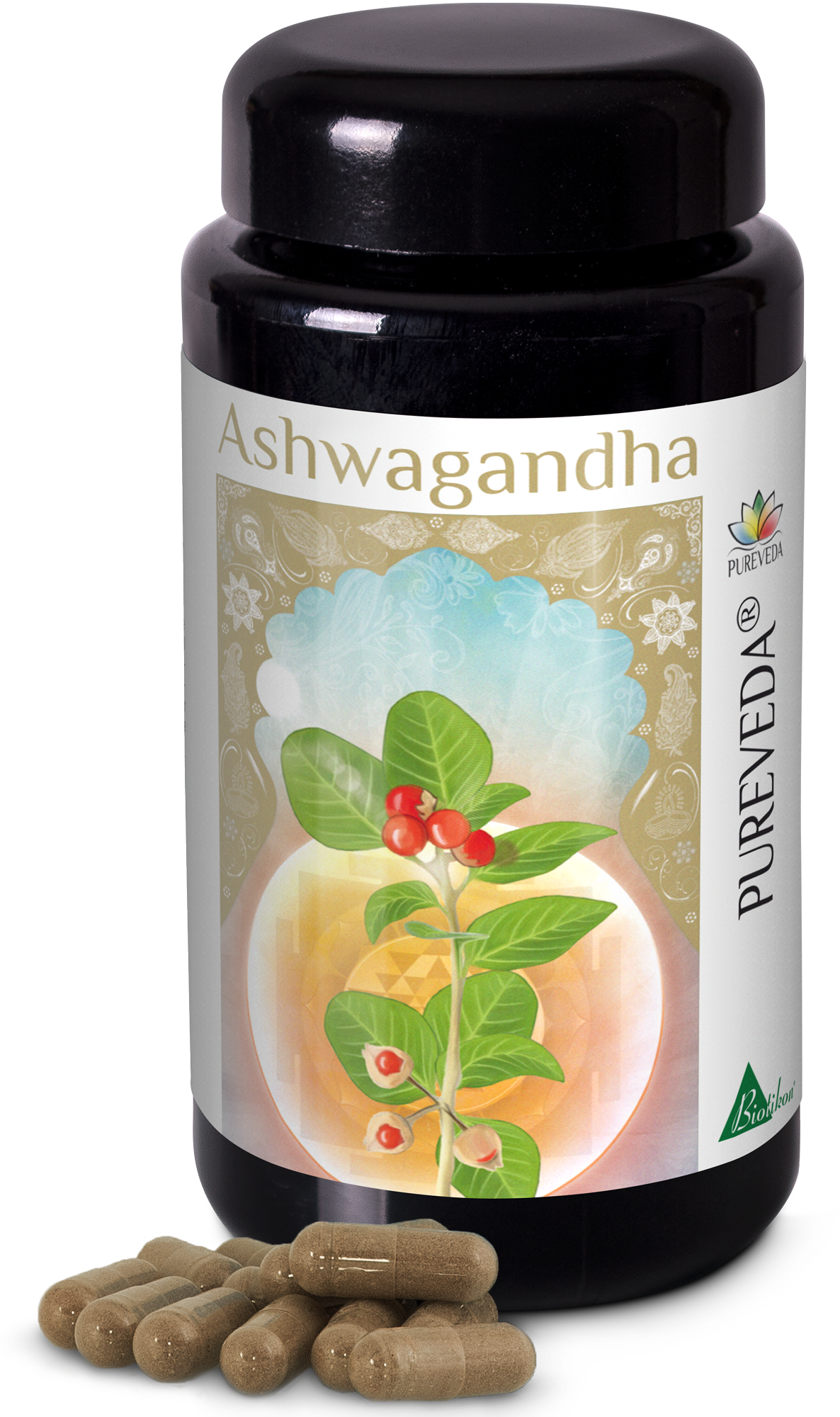 Ashwagandha 500 mg – Kapseln Packung mit 500 mg Ashwagandha Kapseln in schwarzen Behälter, mit mehreren Kapseln im Vordergrund.