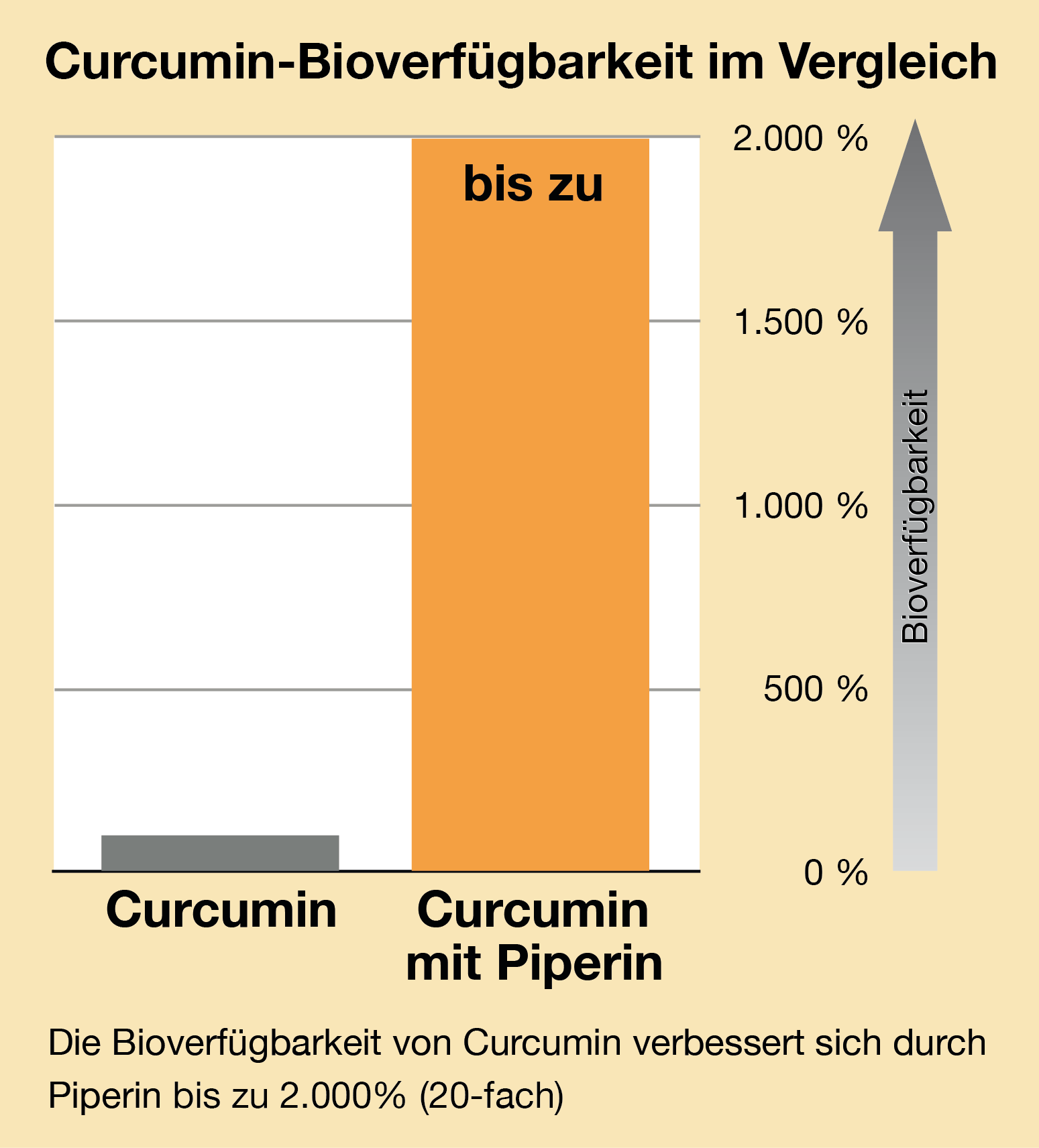 Curcuma Piperin Verfügbarkeit