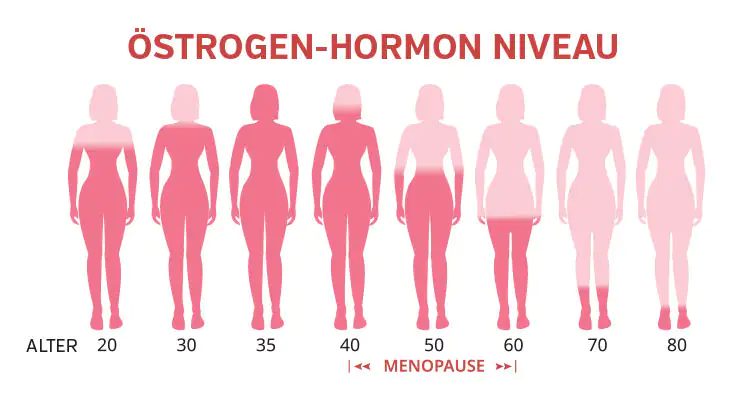 Östrogen-Hormon Niveau nach Alter – Graphik Illustration zeigt den Östrogen-Hormon Niveau in verschiedenen Altersstufen, von 20 bis 80 Jahren.