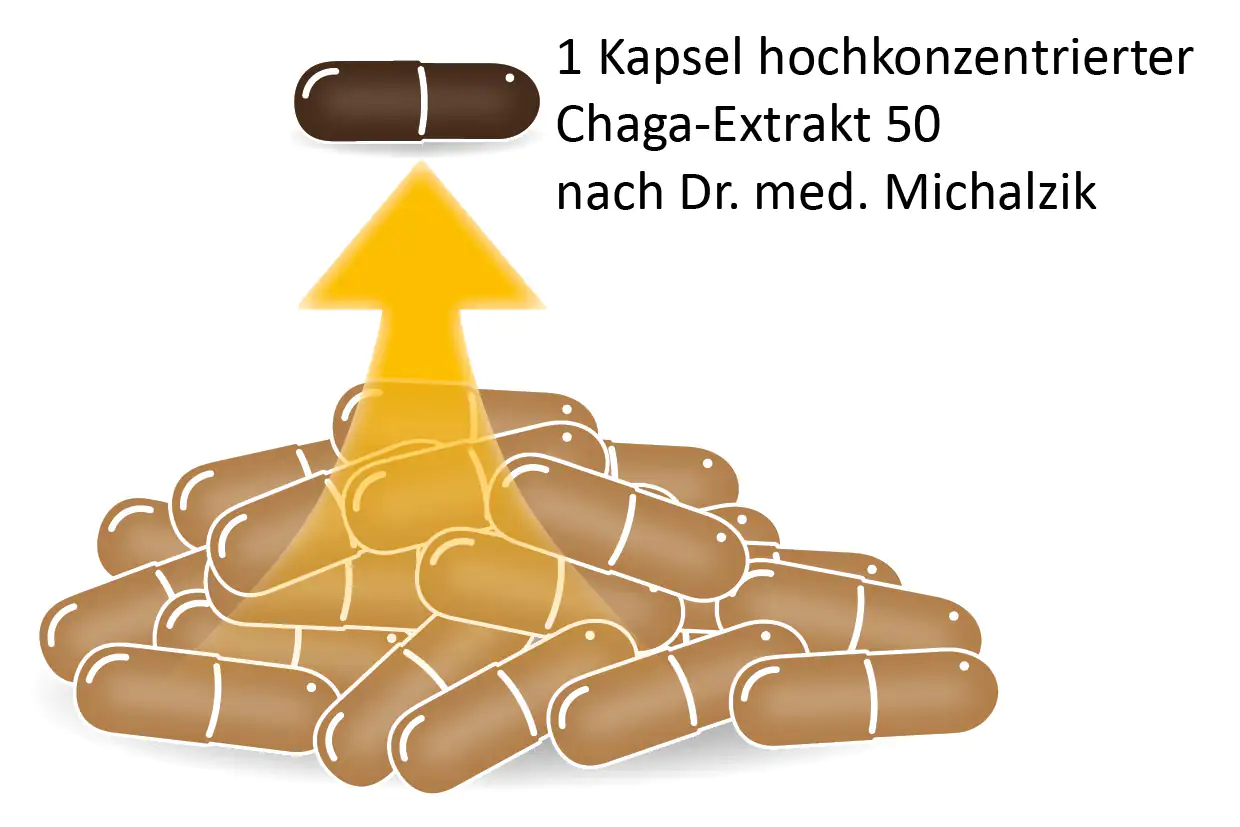 Chaga-Extrakt 50 – Kapseln Eine Kapsel hochkonzentrierter Chaga-Extrakt auf einem Haufen brauner Kapseln, sichtbare Struktur und Farbe.