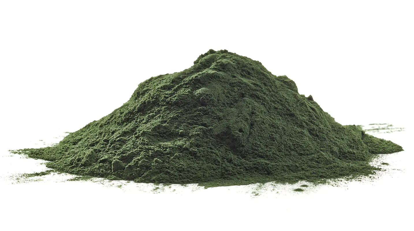 Chlorella vulgaris Pulver Grünes Spirulina Pulver in einem leichten Haufen, auf weißem Hintergrund, 500 g.