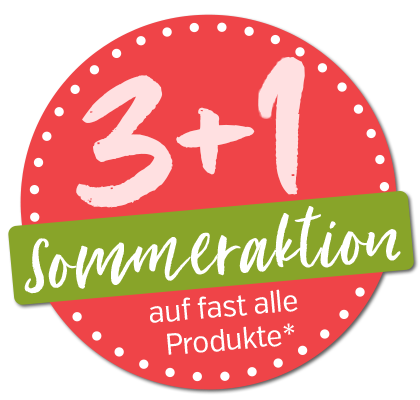 3+1 Sommeraktion