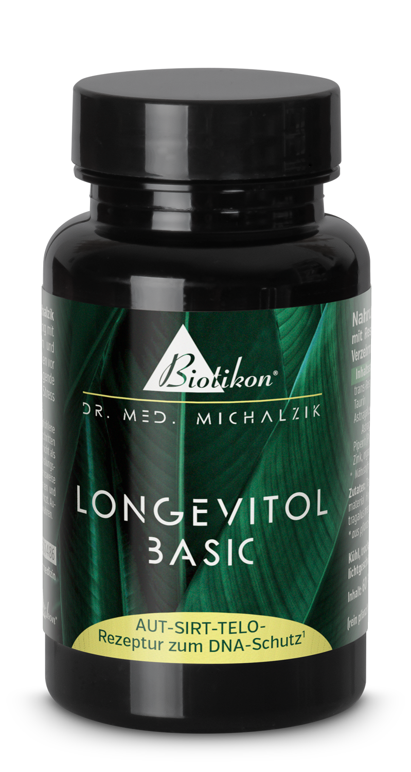 Longevitol basic Kapseln – 60 Stück Longevitol Basic Kapseln in einer weißen Flasche, 60 Stück, vegan, mit leicht transparenter Kapsel.