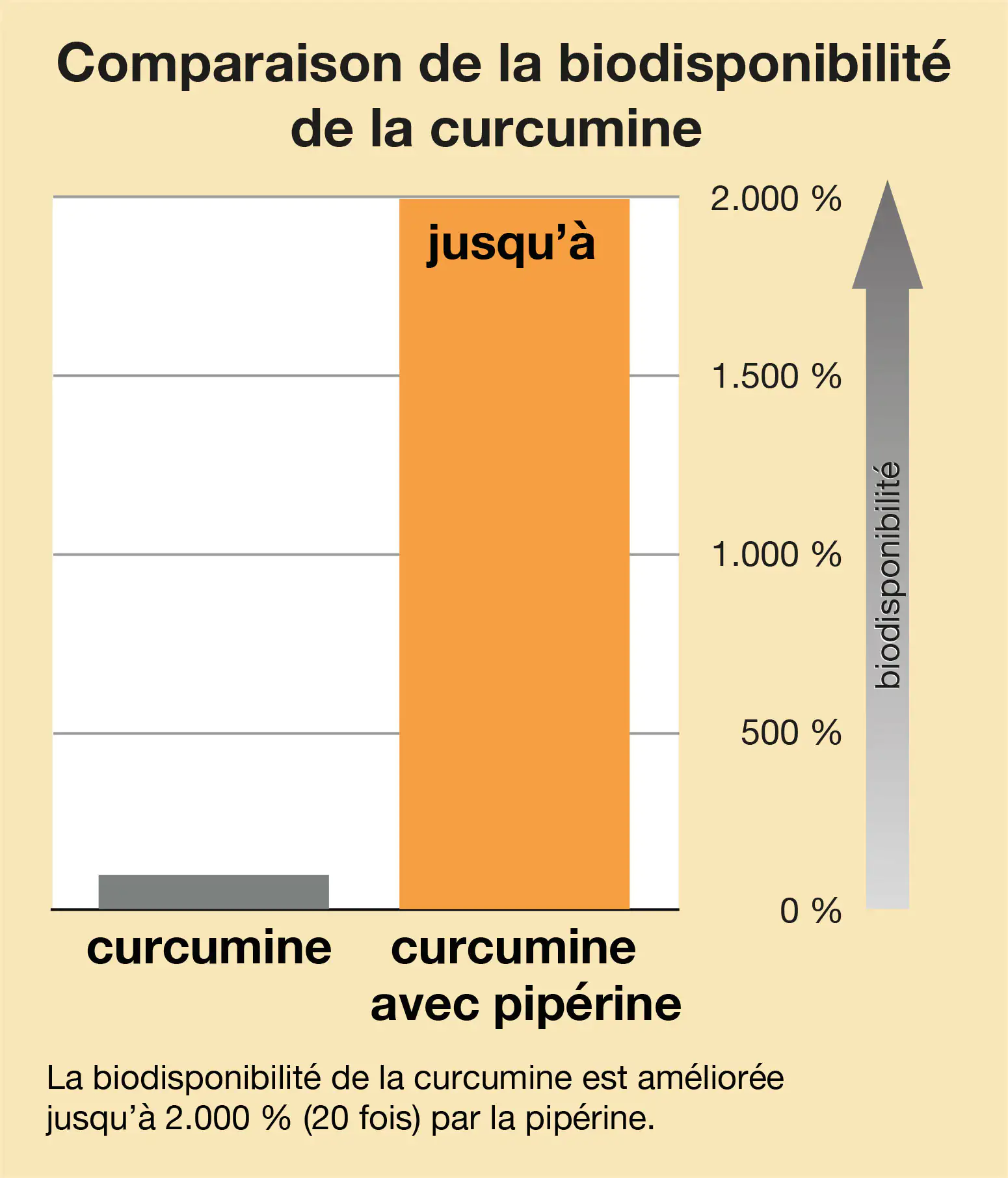 Curcuma pipérine