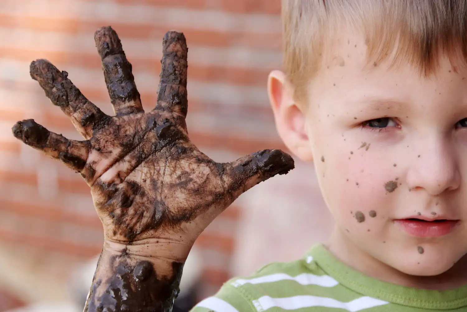 Immunsystem - Kind zeigt dreckige Hand Ein Junge zeigt seine schmutzige Hand mit Erde. Er trägt ein gestreiftes T-Shirt und hat auch Schmutz auf dem Gesicht.