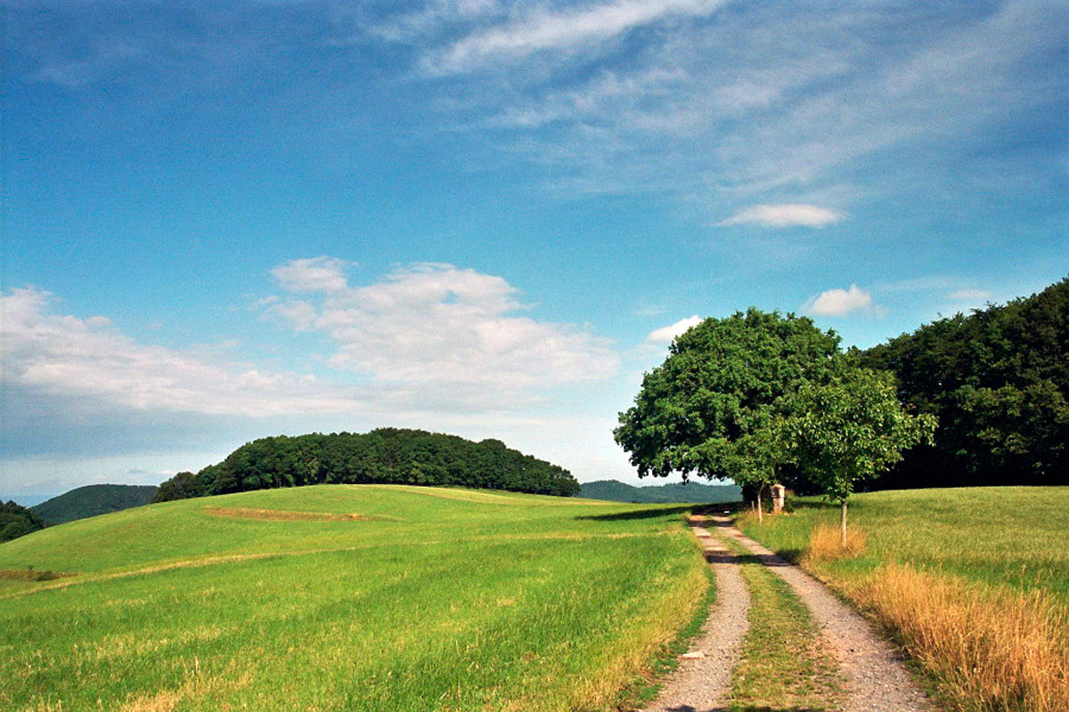 Der Odenwald