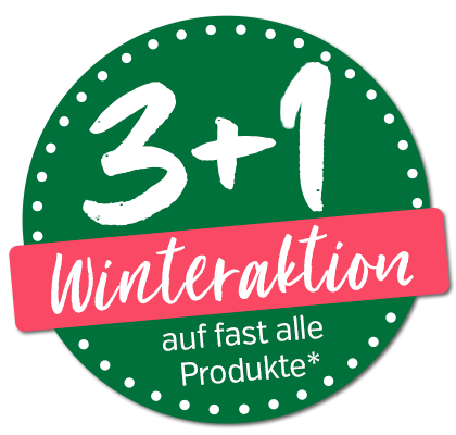 3+1 Winterkation 2025