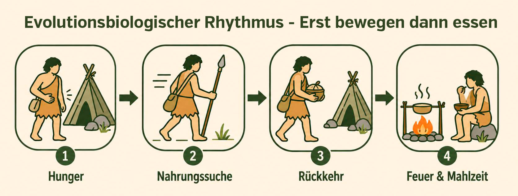 Body recomposition - Evolutionsbiologischer Rhythmus
