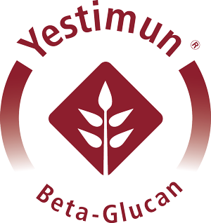Yestimun-Logo