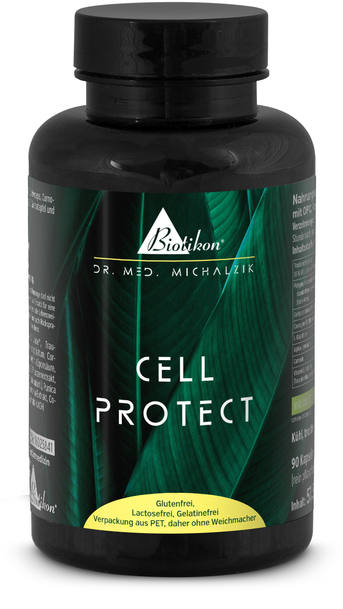 Cell Protect – 90 Kapseln Cell Protect Nahrungsergänzungsmittel in einer PET-Flasche, 90 Kapseln, grüne Verpackung, Sicht von vorne.