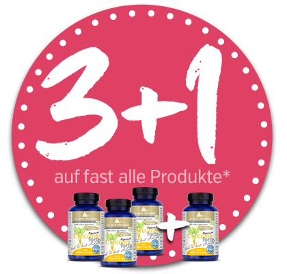 3+1 Sommeraktion 2026