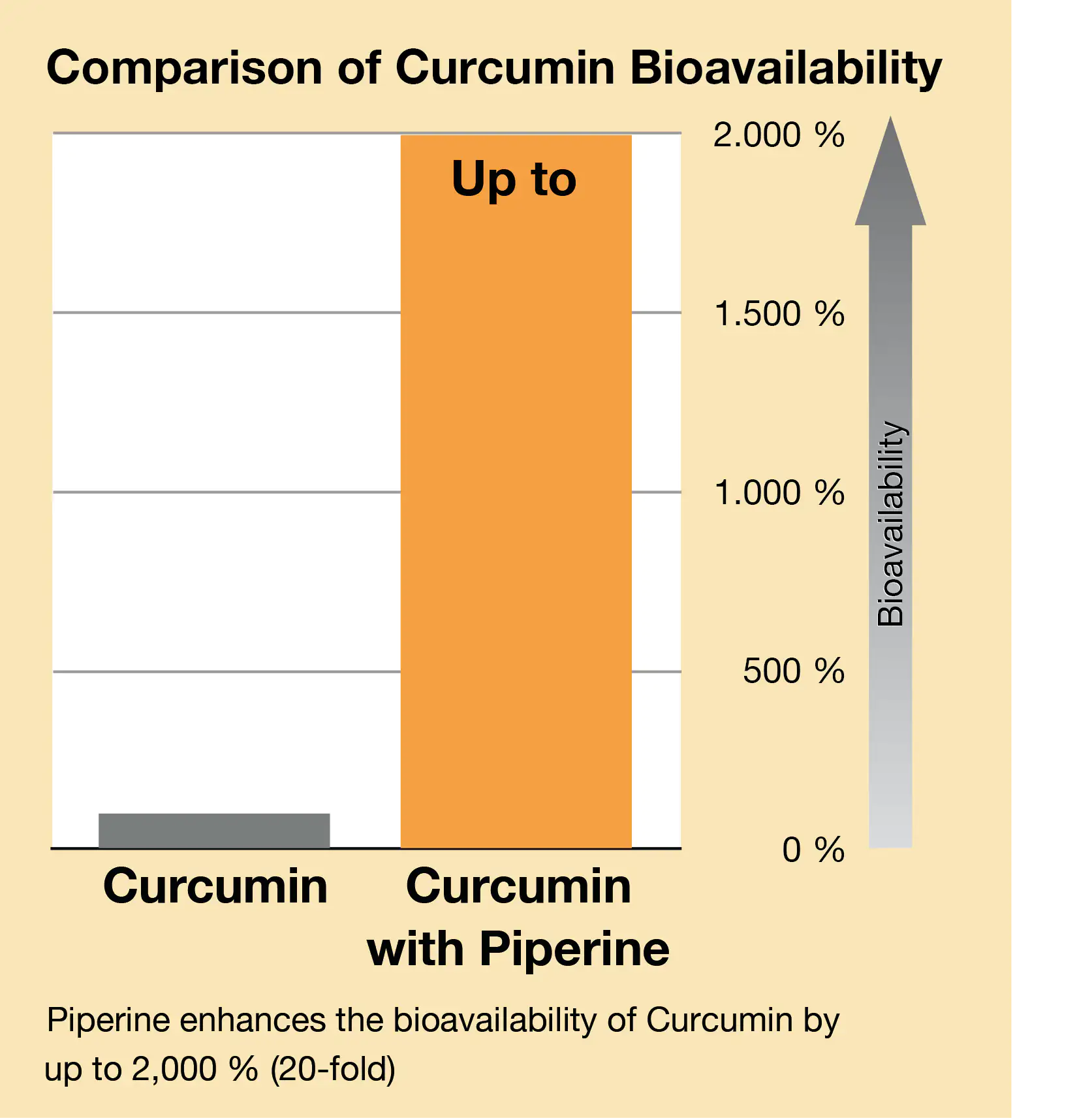 Curcuma Piperin Verfügbarkeit