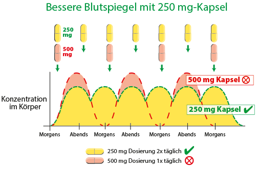 Bioverfügbarkeit von Quercetin