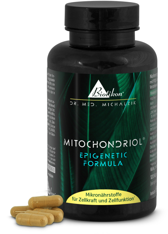 S-Acetyl-Glutathion magensurenstabil 255510 mg pro Tag, 60 vegane Kapseln, ohne Zusatzstoffe S-Acetyl-Glutathion magensurenstabil 255510 mg pro Tag, 60 vegane Kapseln, ohne Zusatzstoffe