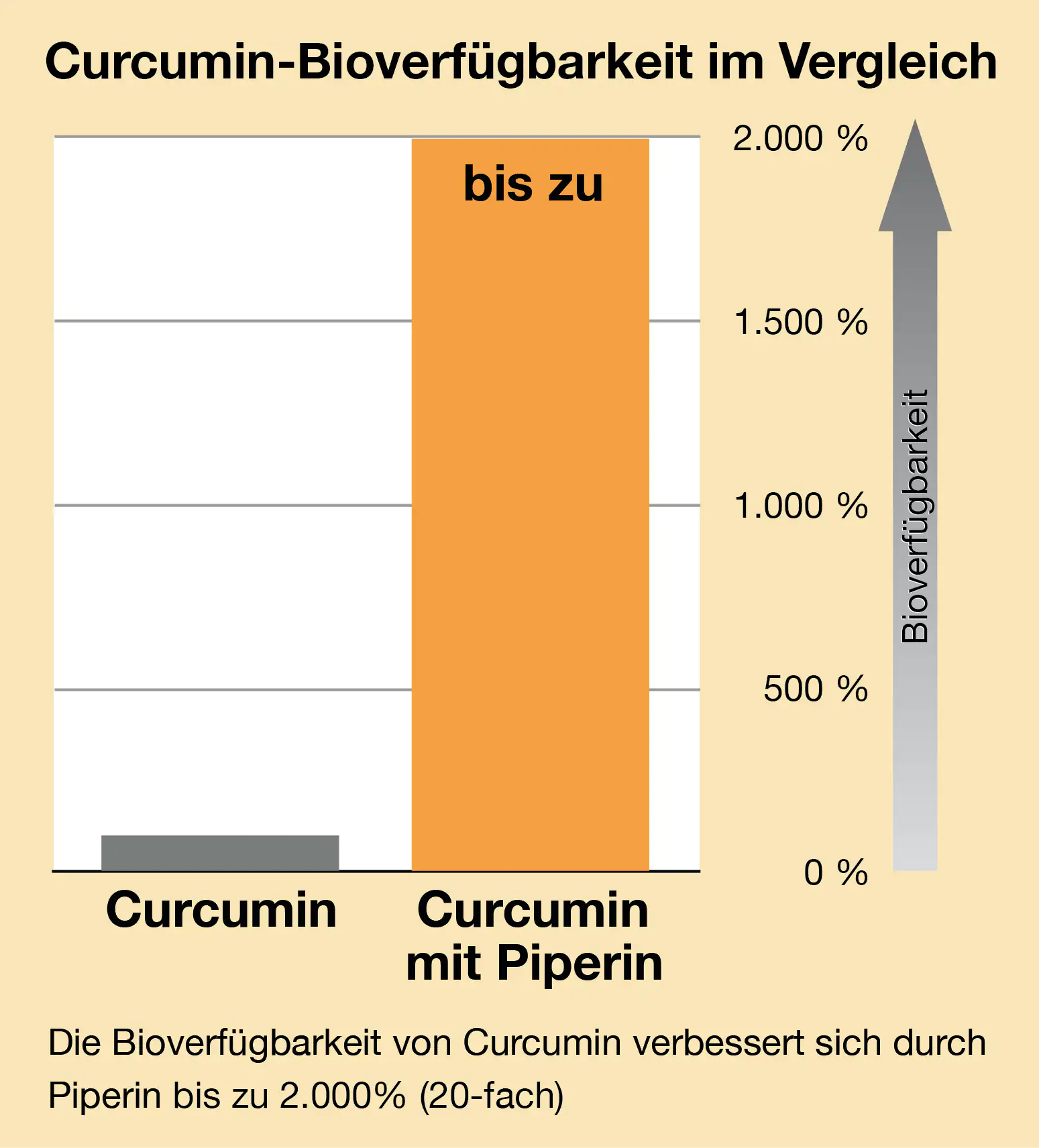 Curcumin Bioverfügbarkeit mit Piperin – Grafik Grafik zur Bioverfügbarkeit von Curcumin mit und ohne Piperin, Vergleich von bis zu 2000%.