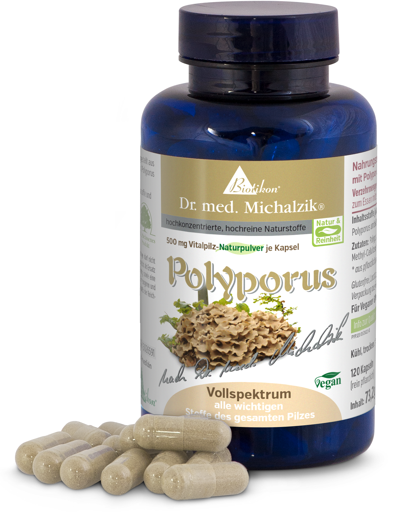 Polyporus 500 mg – Kapseln Blaue Flasche mit 120 Kapseln, Inhalt 500 mg Polyporus. Kapseln sind hellbeige.