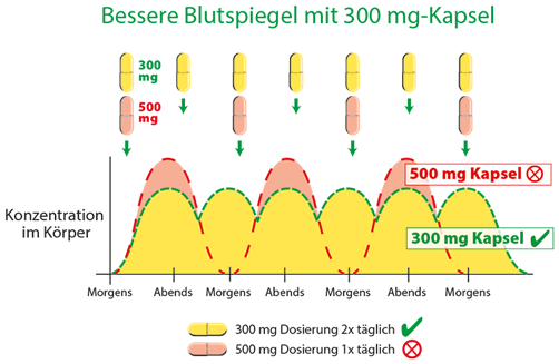 Kapseln 300 mg – Ernährungsergänzung Illustration von Kapseln, 300 mg und 500 mg, mit klarer Kennzeichnung und Übersicht über die Einnahme.