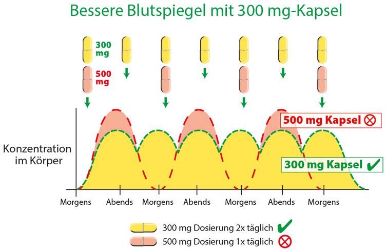 300 mg-Kapsel – Bessere Blutspiegel Grafik zeigt den Vergleich der Konzentration im Körper bei 300 mg und 500 mg Kapseln, mit Dosierungsinformationen.