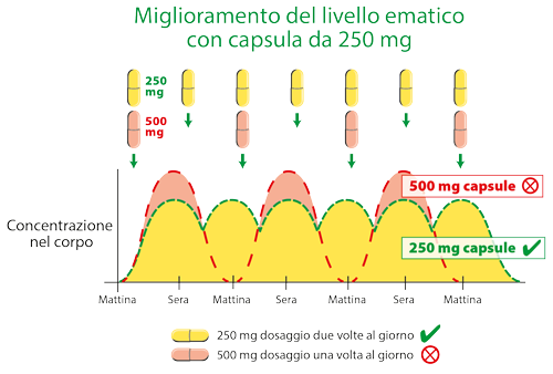 Bioverfügbarkeit von Quercetin