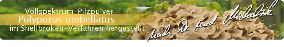 Polyporus