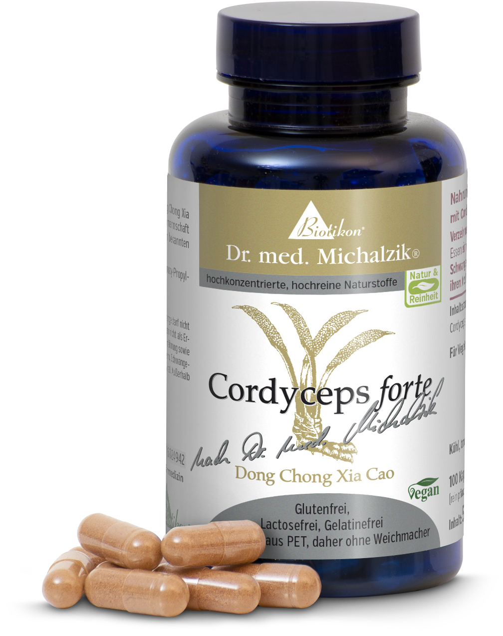 Cordyceps forte – 100 Kapseln Transparente PET-Flasche mit 100 braunen Kapseln, vegan, auf einem weißen Hintergrund.