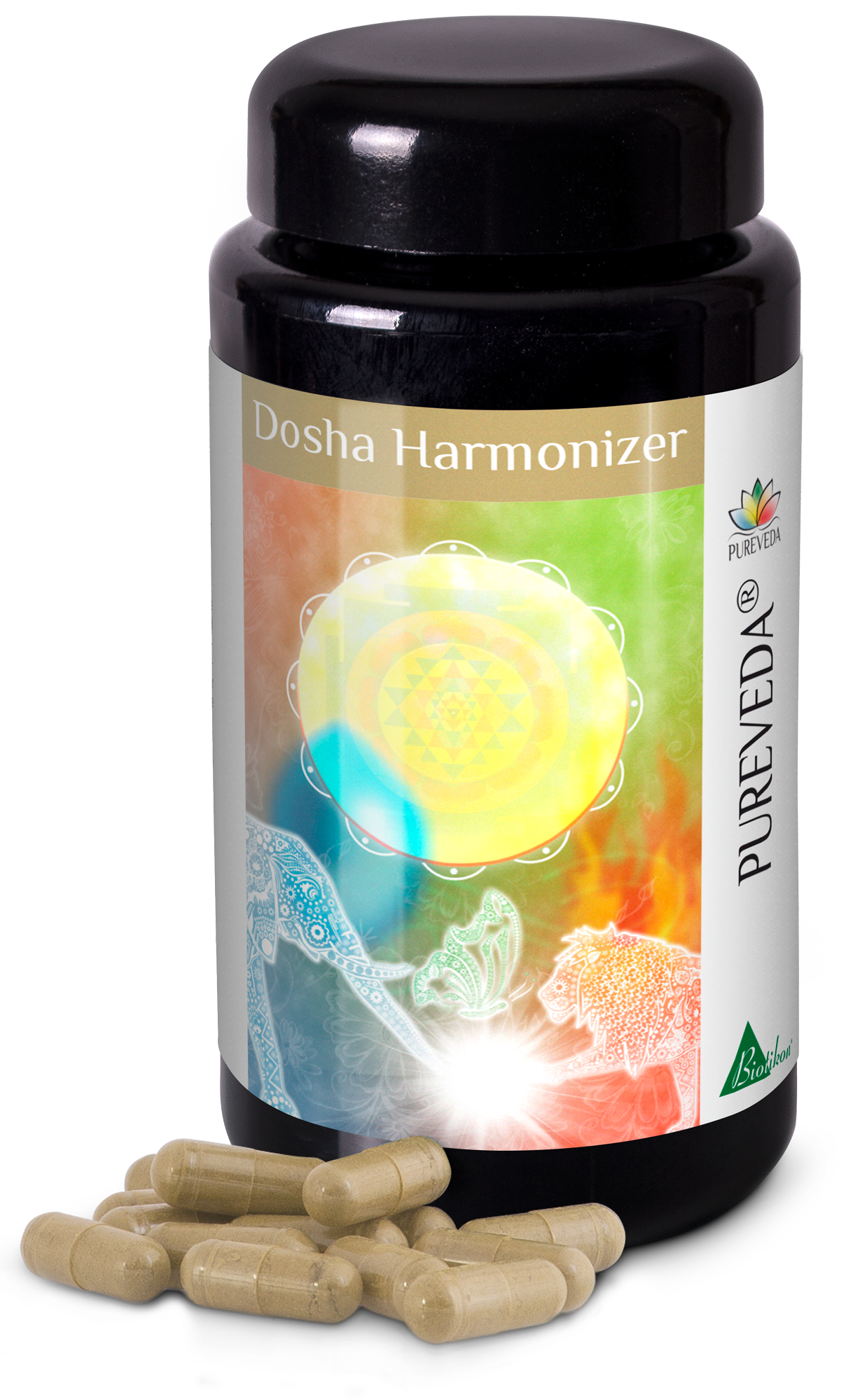 Dosha Harmonizer – Kapseln Schwarze Flasche mit Kapseln, farbiger Hintergrund und Dekoration, enthält 60 Kapseln.