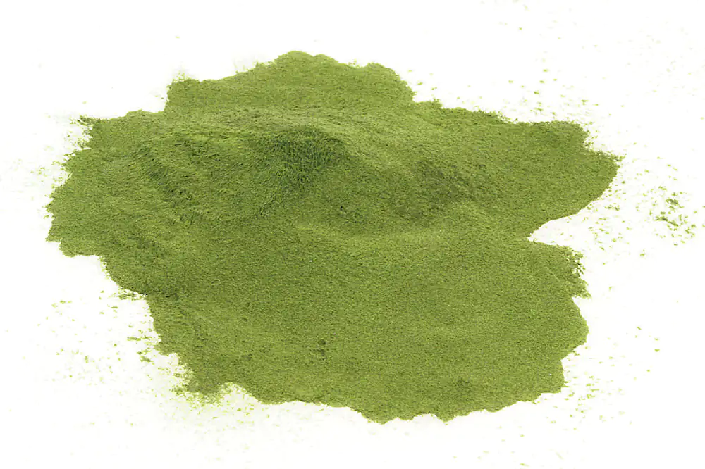 Moringa oleifera Rohkostqualität Feines grünes Pulver, lockere Konsistenz, auf weißem Hintergrund, 100 g.