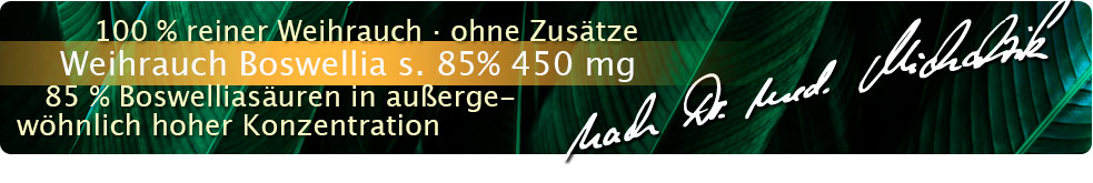 Weihrauch Boswellia serrata 85% 450 mg