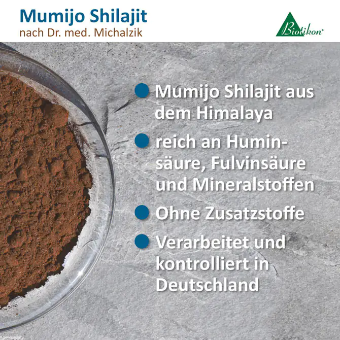 Mumijo Shilajit – Pulver aus dem Himalaya Mumijo Shilajit in einer Schale, braunes Pulver, feine Konsistenz, auf grauem Untergrund.