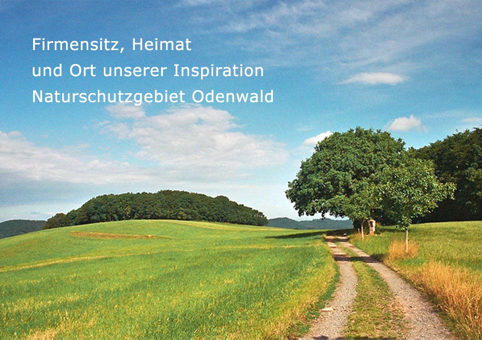 Naturschutzgebiet Odenwald – Landschaftsaufnahme Blick auf eine grüne Hügellandschaft im Naturschutzgebiet Odenwald, geteerte Straße, blauer Himmel.