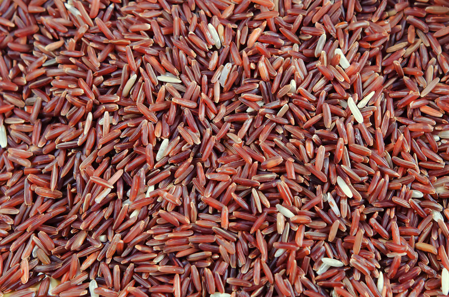 Roter Reis Roter Reis in einer Nahaufnahme, natürliche Farben, ungeschält, 500 g.